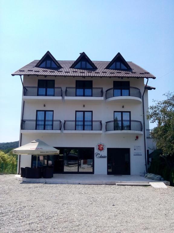 Pensiunea Clasic Curtea de Argeş Extérieur photo